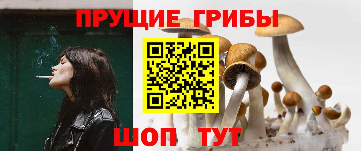 Псилоцибиновые грибы MAGIC MUSHROOMS  Галлюциногенные грибы Psilocybe  Вход с VPN  Кыштым 